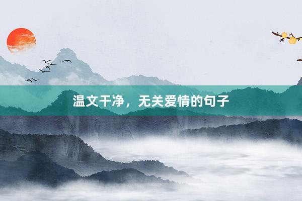 温文干净，无关爱情的句子