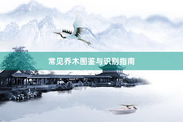 常见乔木图鉴与识别指南