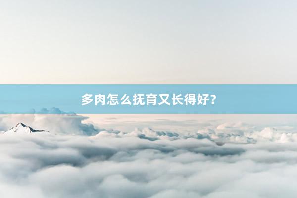 多肉怎么抚育又长得好？