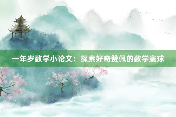 一年岁数学小论文:探索好奇赞佩的数学寰球
